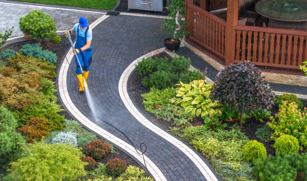 Best Pressure Washing Company Near Me  in Gonzales, TX